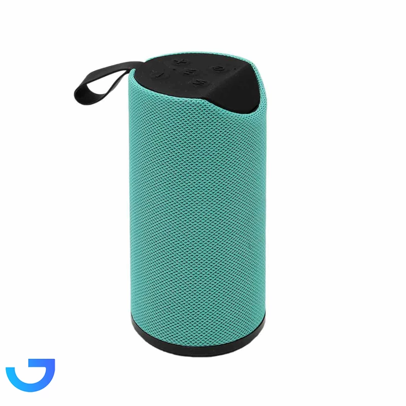 قیمت و خرید اسپیکر بی سیم مدل TG113 | فروشگاه آریا