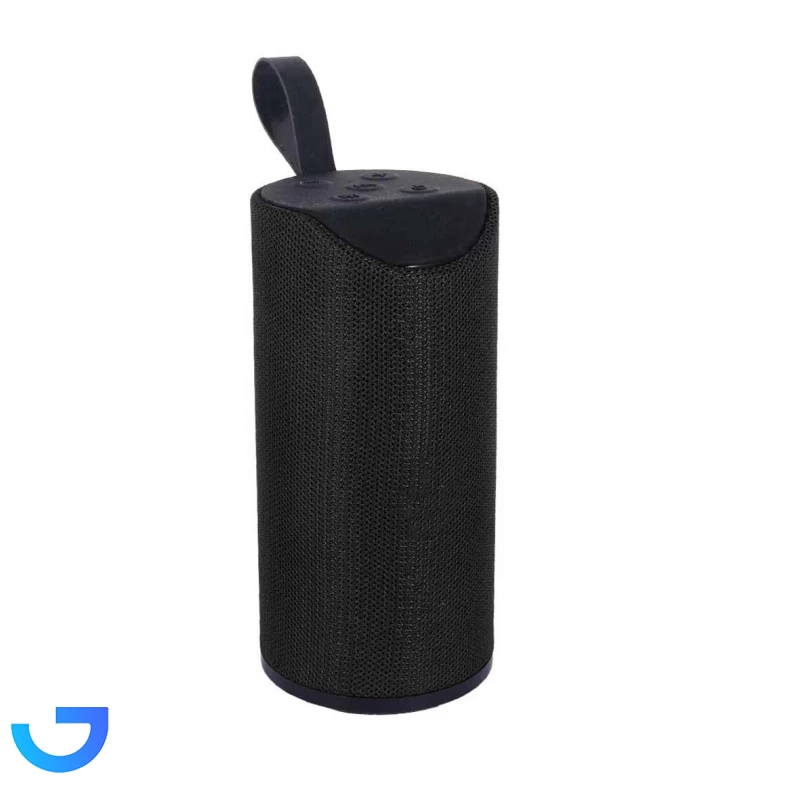 قیمت و خرید اسپیکر بی سیم مدل TG113 | فروشگاه آریا