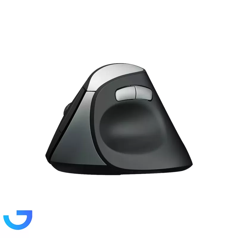 قیمت و خرید ماوس بی سیم Rapoo مدل MV20 Silent | فروشگاه آریا