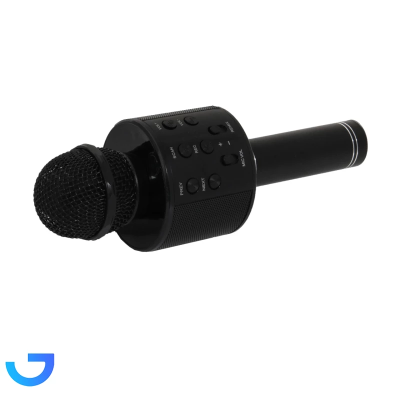 قیمت و خرید اسپیکر میکروفون باتری بزرگ مدل WS-858 | فروشگاه آریا