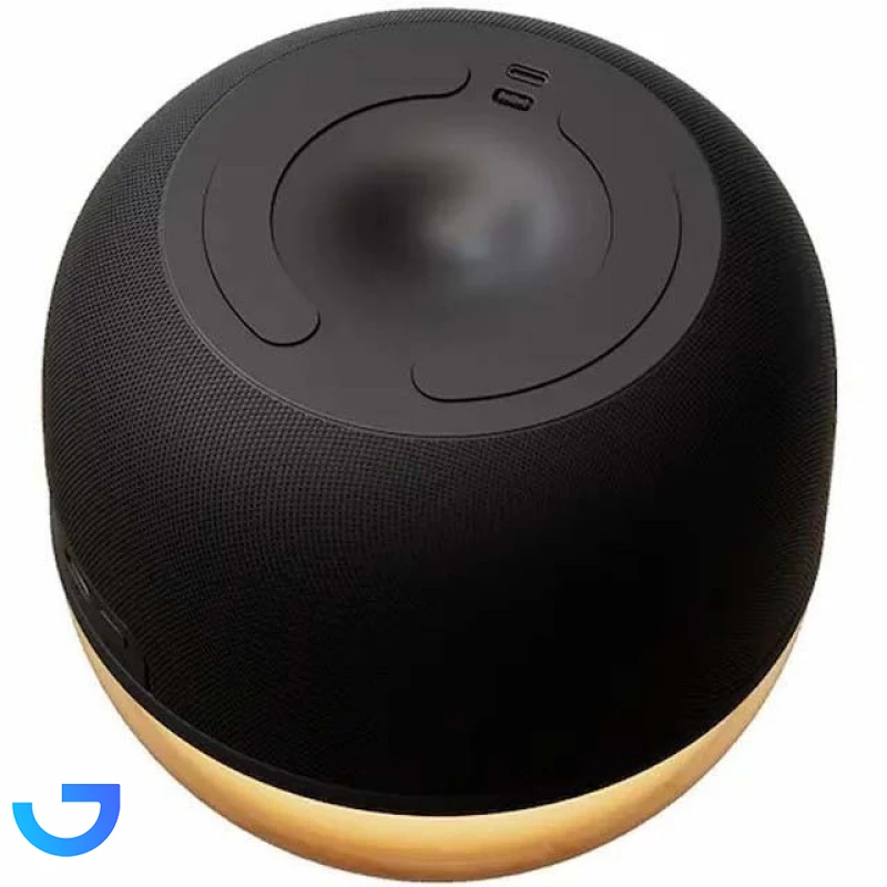 قیمت و خرید اسپیکر بلوتوثی فیلیپس 3 وات مدل Philips TAS2009 | فروشگاه آریا