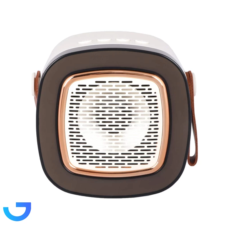 قیمت و خرید اسپیکر بی سیم TRANYOO مدل T-BS31 | فروشگاه آریا