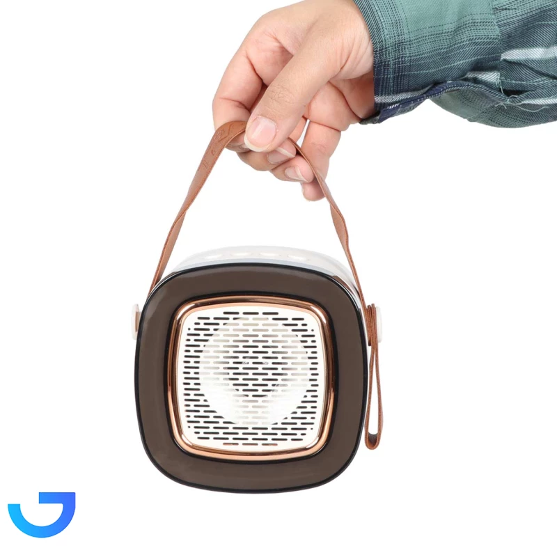 قیمت و خرید اسپیکر بی سیم TRANYOO مدل T-BS31 | فروشگاه آریا