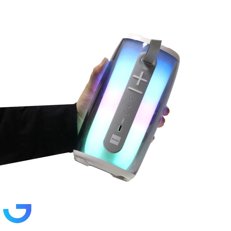 قیمت و خرید اسپیکر بی سیم برودو مدل BTS-2126 | فروشگاه آریا