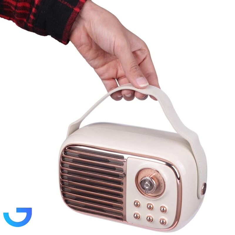 قیمت و خرید اسپیکر بی سیم Brodu مدل BTS-1956 | فروشگاه آریا